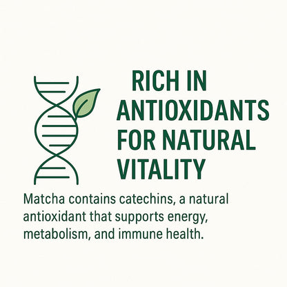 Text about matcha's antioxidants and health benefits with a DNA strand and leaf icon on a white background.