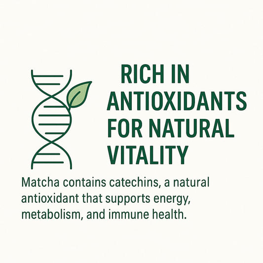 Text about matcha's antioxidants and health benefits with a DNA strand and leaf icon on a white background.