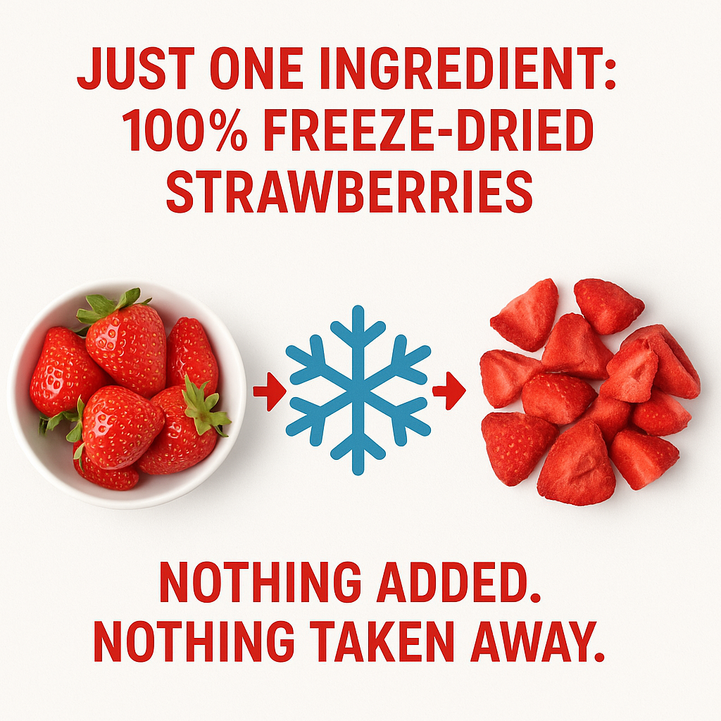 Visual message highlighting that the product contains only one ingredient: 100% freeze-dried strawberries. The image demonstrates that fresh strawberries are transformed into the freeze-dried product with nothing added or taken away.
