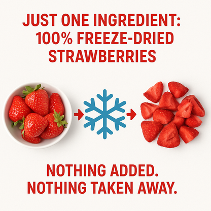 Visual message highlighting that the product contains only one ingredient: 100% freeze-dried strawberries. The image demonstrates that fresh strawberries are transformed into the freeze-dried product with nothing added or taken away.
